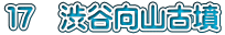 １７　渋谷向山古墳